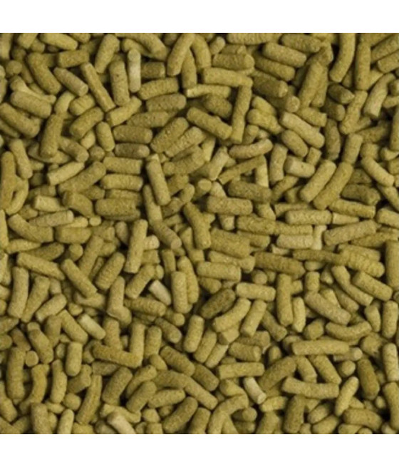 Pokarm Tropical Biorept L 28 g