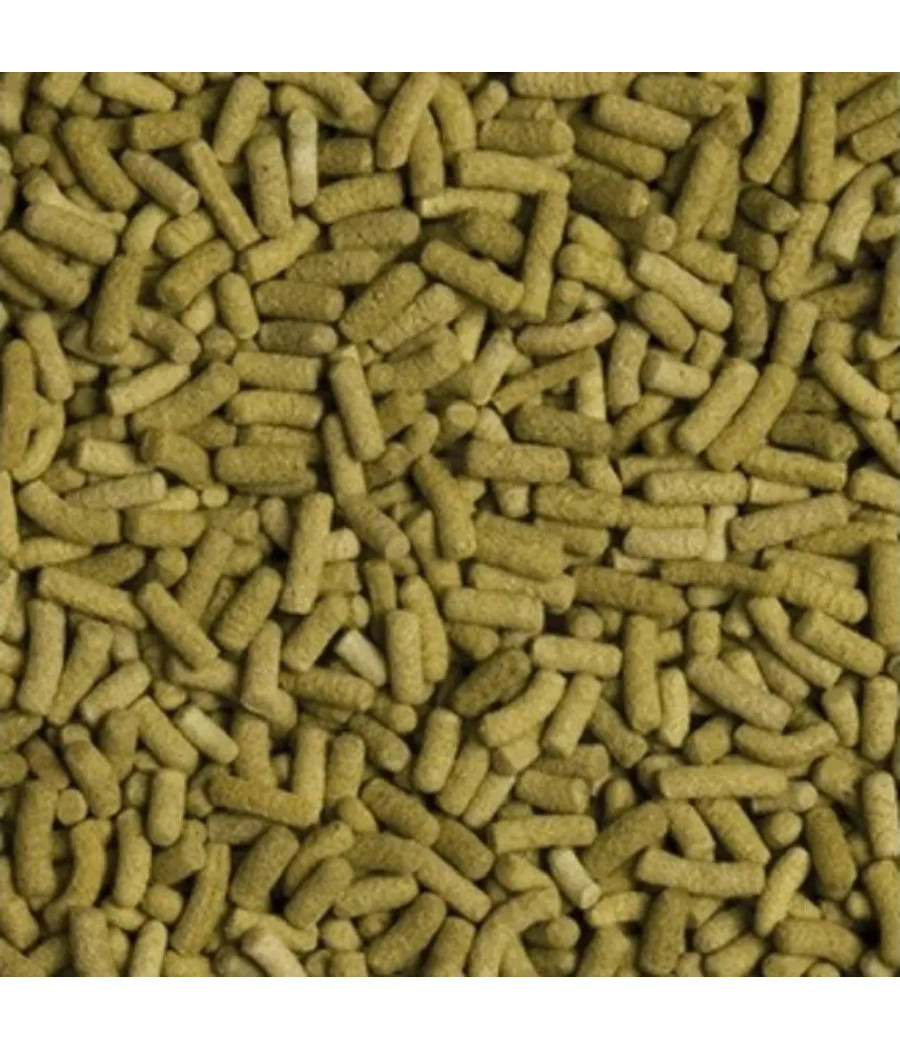 Pokarm Tropical Biorept L 28 g