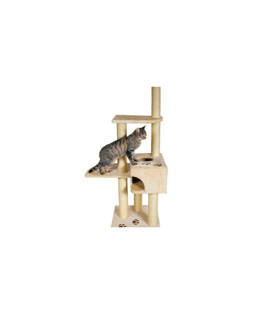 Drapak wysoki, legowisko, słupek do drapania Trixie 101 - 160 cm