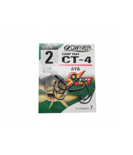 Hak owner CT-4 AYA BLN-2