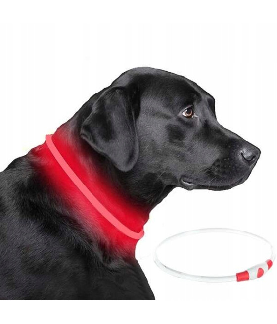 Obroża psa świecąca czerwona LED Trixie 40 cm S-M