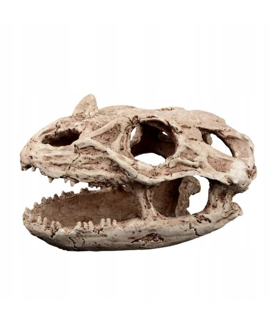 Terra Natura Dekoracja terrarystyczna kryjówka czaszka reptilozaura 19cm