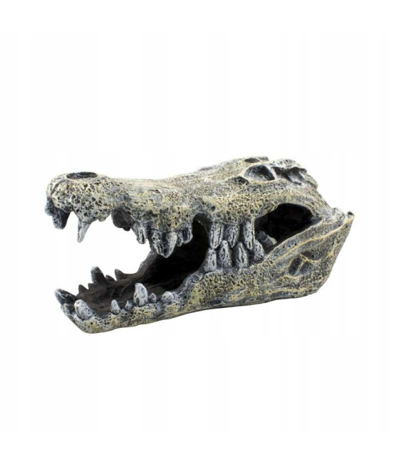 Terra Natura Dekoracja terrarystyczna kryjówka czaszka krokodyla 14cm