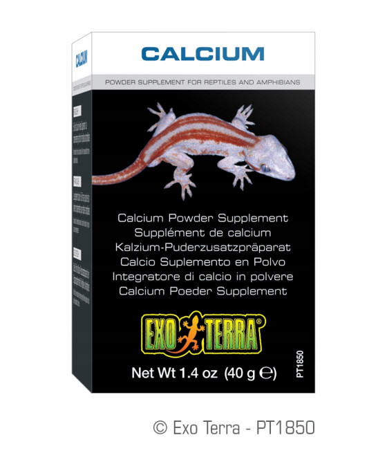 Exo Terra Calcium 90g bez D3 wapno wapń
