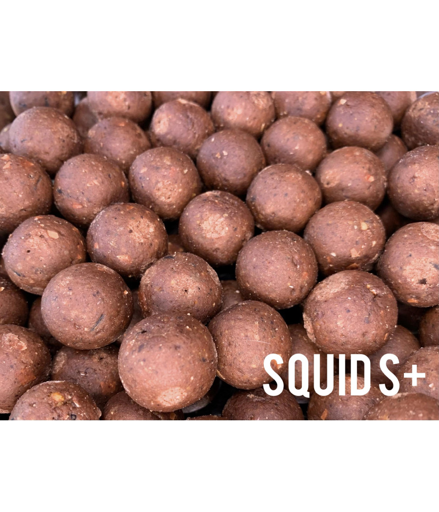 BAIT ZONE KULKI ZANETOWE SQUID S+ 20MM 1KG