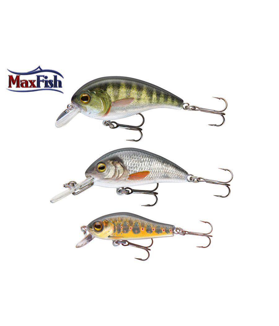 Wobbler Set 1 mixed CORMORAN