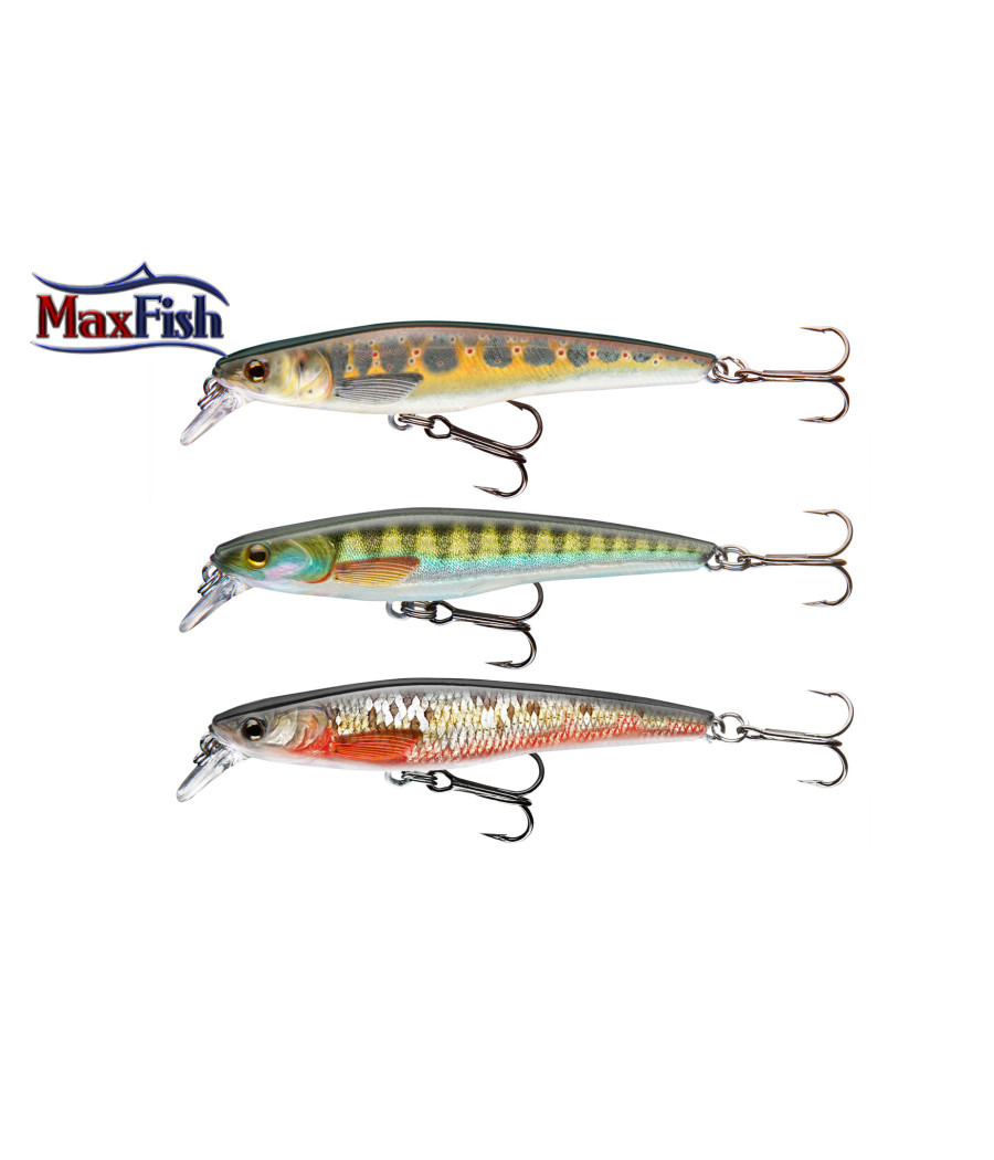 Wobbler Set 2 mixed CORMORAN