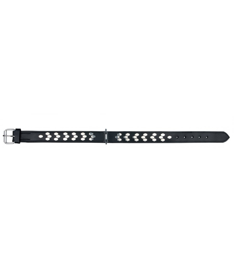 Active obroża skórzana 55-65cm/40mm czarna
