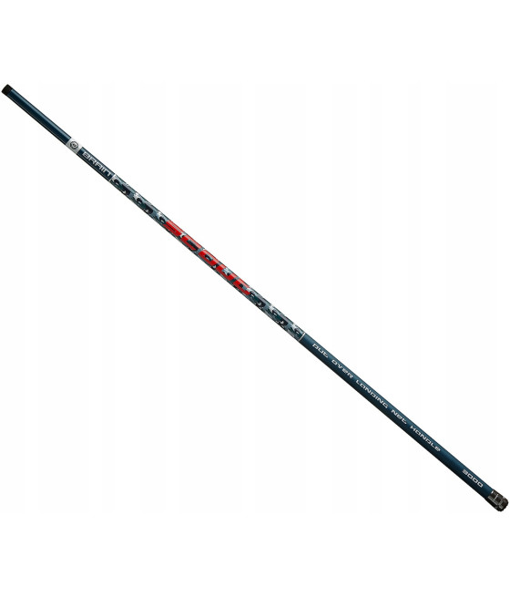 Brain Scout 3m IBIS