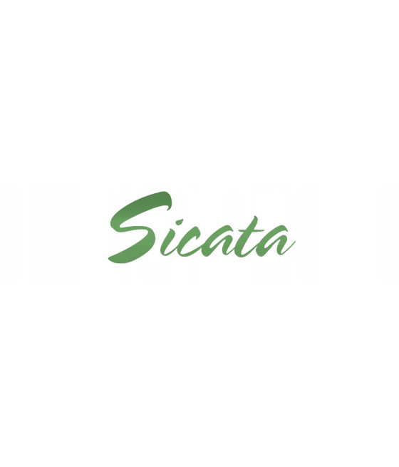 WĘDKA MISTRALL SICATA POLE ULTRA LIGHT 5m / 10-25g