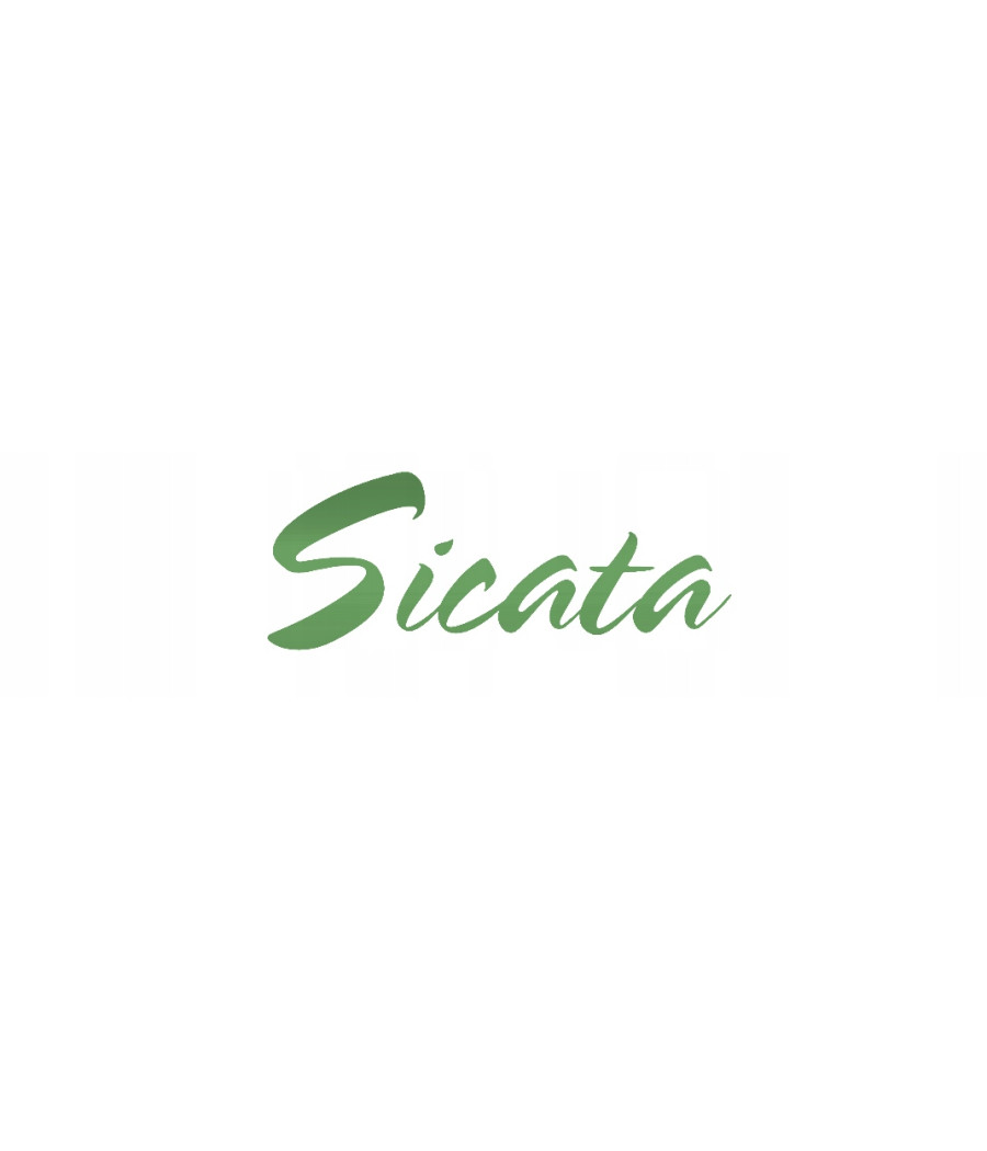 WĘDKA MISTRALL SICATA POLE ULTRA LIGHT 5m / 10-25g