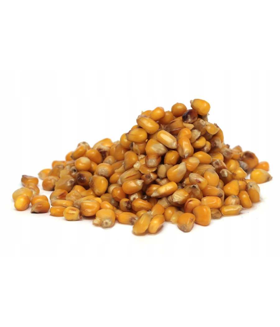 CARP OLD SCHOOL - KUKURYDZA NATURAL 1kg