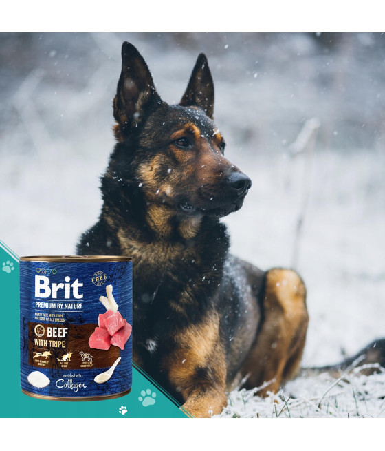 Brit Premium By Nature 800g - Wołowina i Podroby | Mokra Karma dla Psa