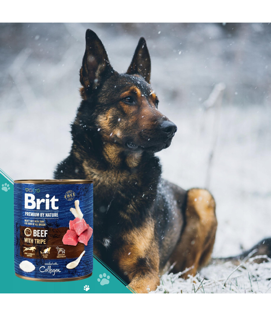 Brit Premium By Nature 800g - Wołowina i Podroby | Mokra Karma dla Psa Brit Premium By Nature 800g - Wołowina i Podroby | Mokra Karma dla Psa