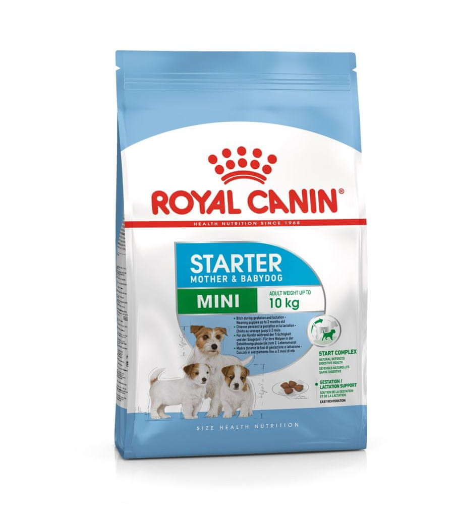 Royal Canin 1kg Mini Starter - Suka Karmiąca + Szczeniak do 2 m.ż.