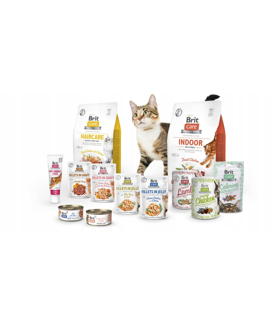 BRIT CARE CAT Sterilized Immunity 2kg