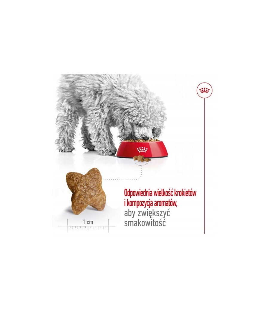 ROYAL CANIN MINI ADULT -2 kg|Karma dla dorosłych psów małych ras (do 10 kg)