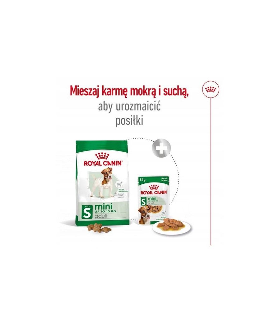 ROYAL CANIN MINI ADULT -2 kg|Karma dla dorosłych psów małych ras (do 10 kg)
