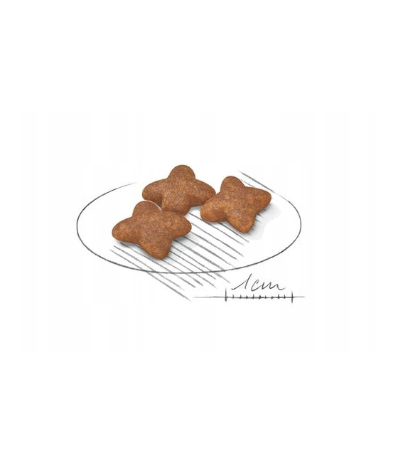 ROYAL CANIN MINI ADULT -2 kg|Karma dla dorosłych psów małych ras (do 10 kg)