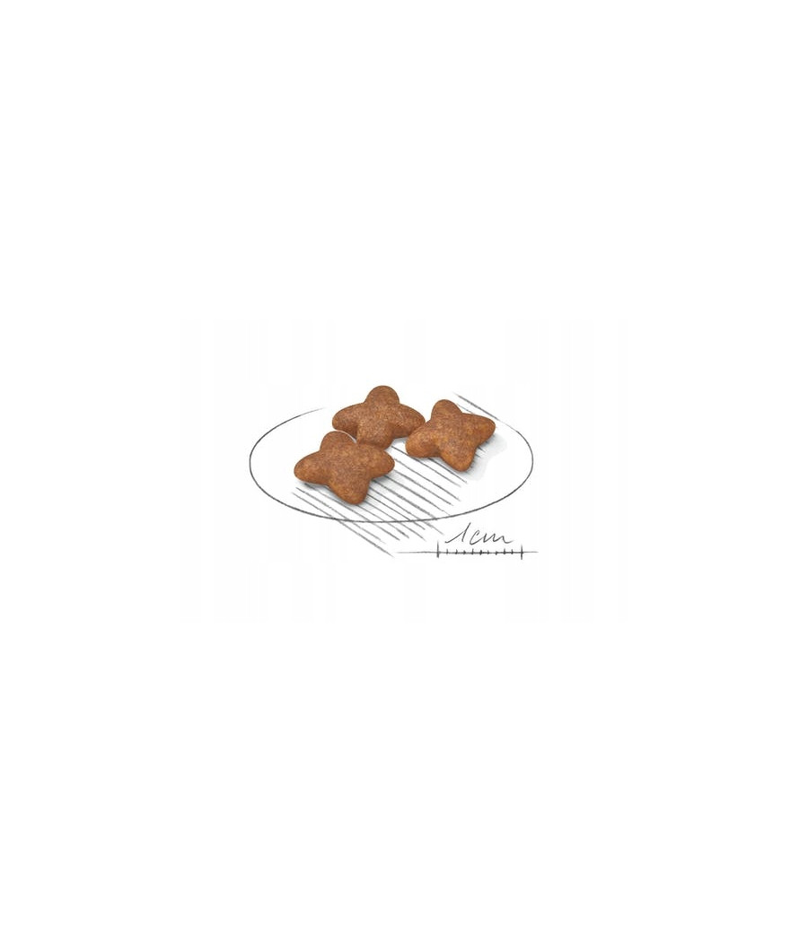 ROYAL CANIN MINI ADULT -2 kg|Karma dla dorosłych psów małych ras (do 10 kg)