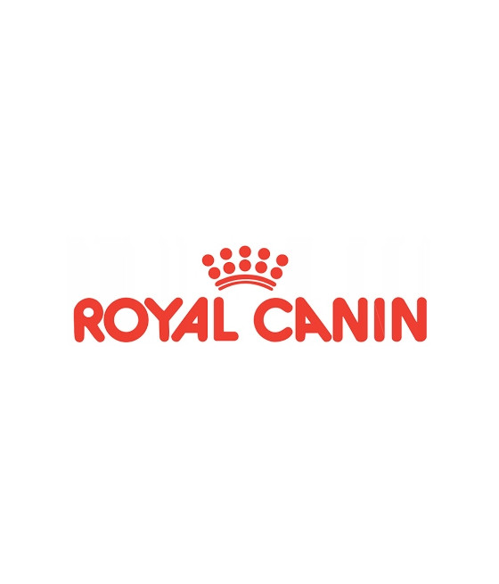 ROYAL CANIN MINI ADULT -2 kg|Karma dla dorosłych psów małych ras (do 10 kg)