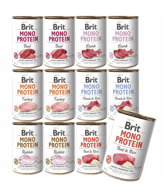 Brit Mono Protein Turkey & Potato 400 g