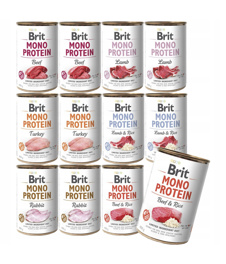 Brit Mono Protein Turkey & Potato 400 g