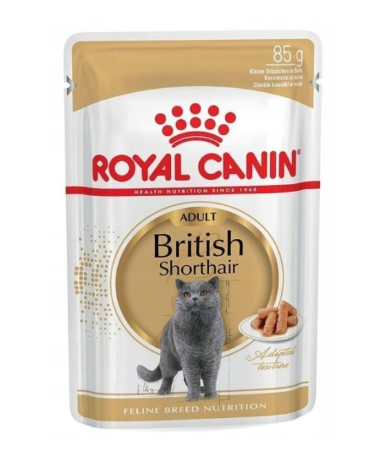 Royal Canin Adult British Shorthair saszetka dla kota w SOSIE 85g