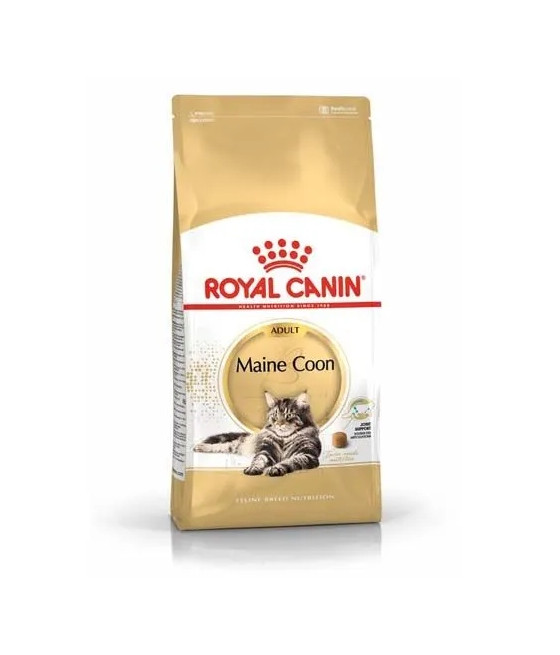ROYAL CANIN Maine Coon Adult / karma sucha kurczak 0,4 kg