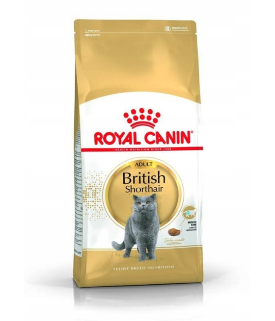 ROYAL CANIN British Shorthair karma sucha kurczak 2 kg