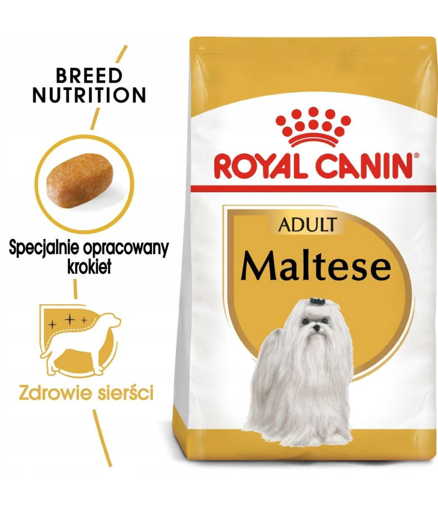 Royal Canin 500g - Maltańczyk Adult | Zdrowa Sierść i Witalność