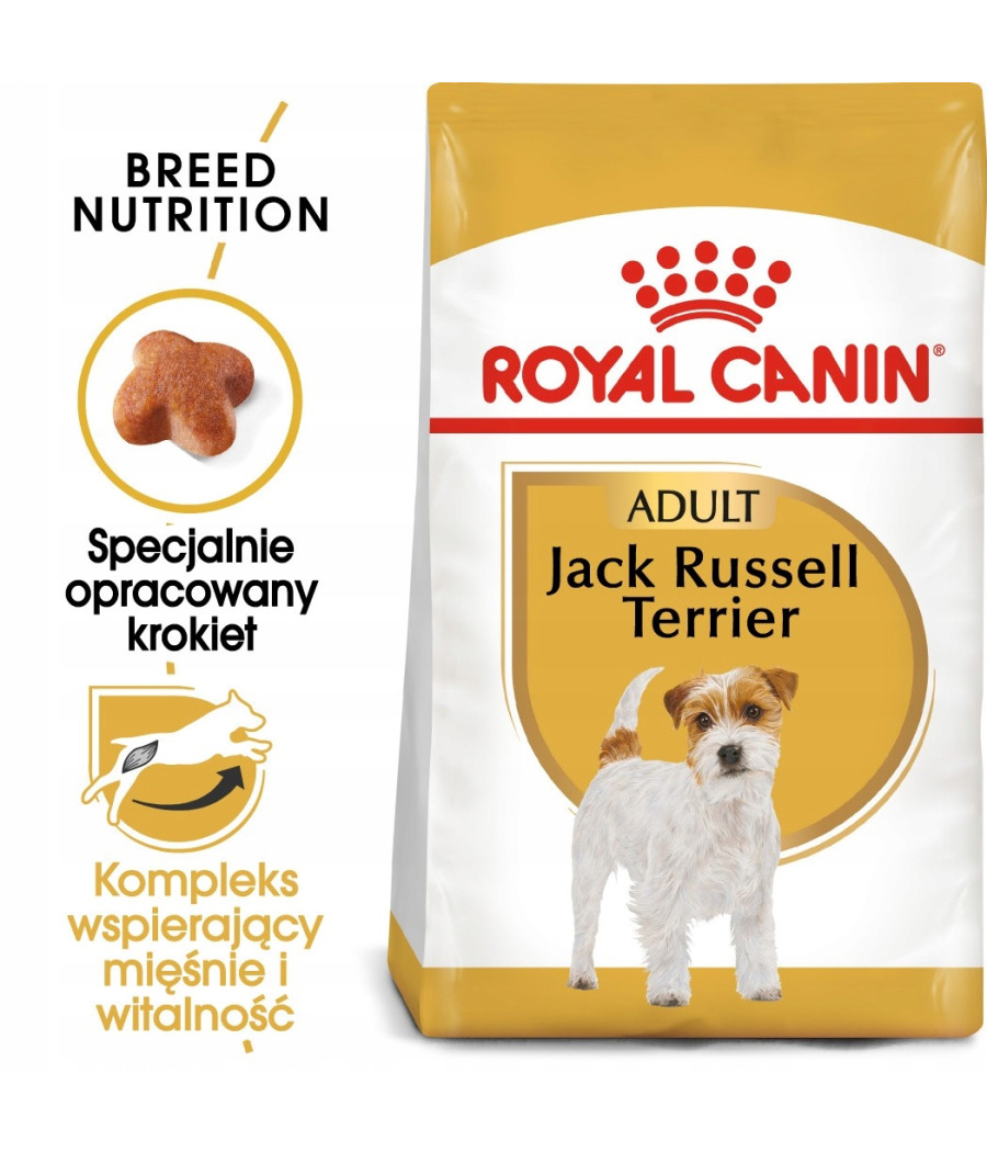 Karma Royal Canin Jack Russell Adult 1,5kg - Pies Dorosły