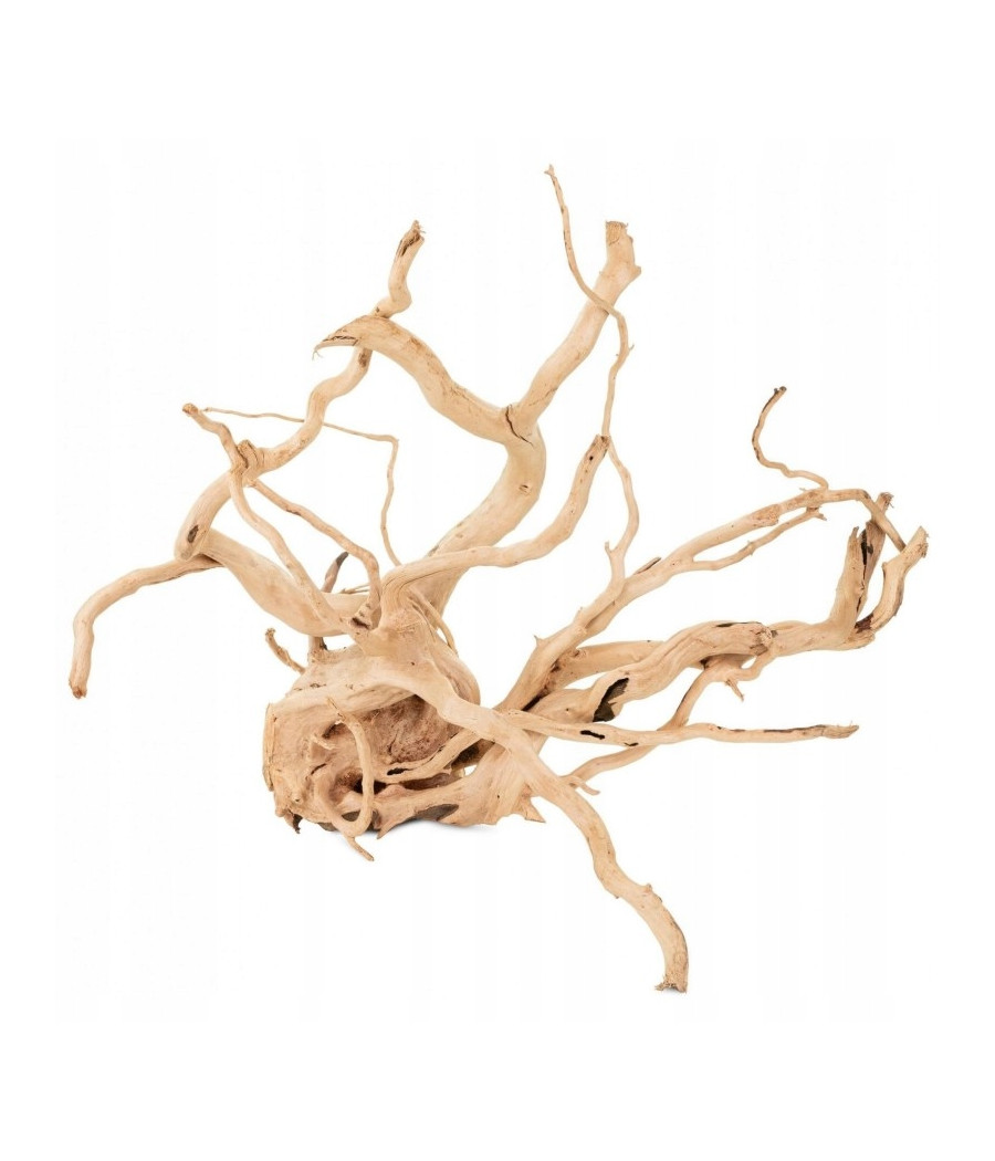 Terra Natura KORZEŃ BAGIENNY Lelei do Terrarium 4L 1 sztuka Terra Natura KORZEŃ BAGIENNY Lelei do Terrarium 4L 1 sztuka