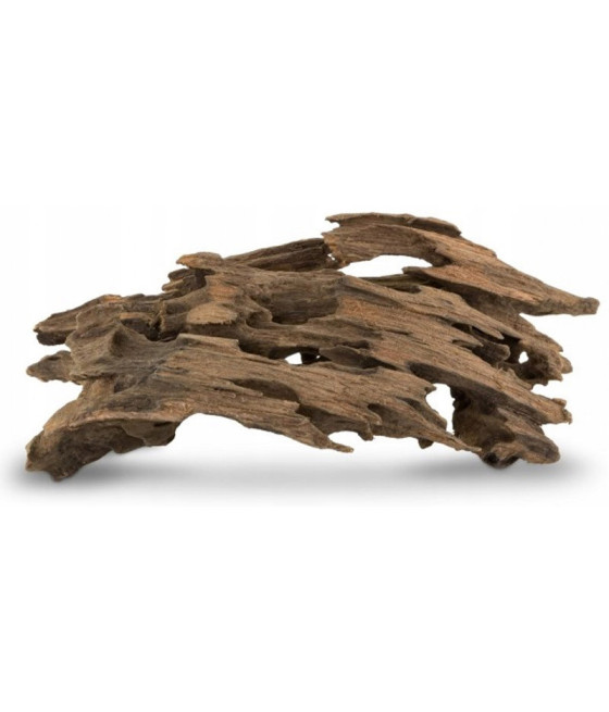 Korzeń Smocze drewno S 10-30cm