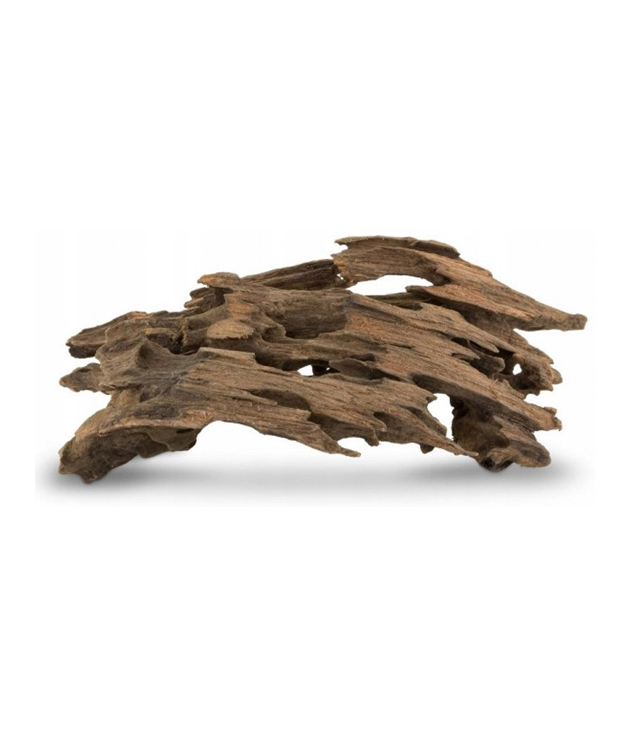 Korzeń Smocze drewno S 10-30cm