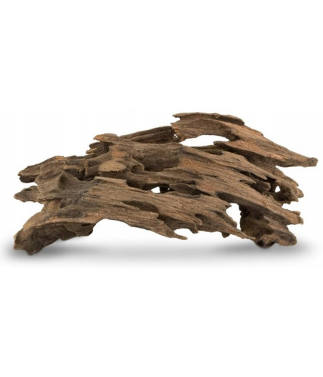 Korzeń Smocze drewno S 10-30cm