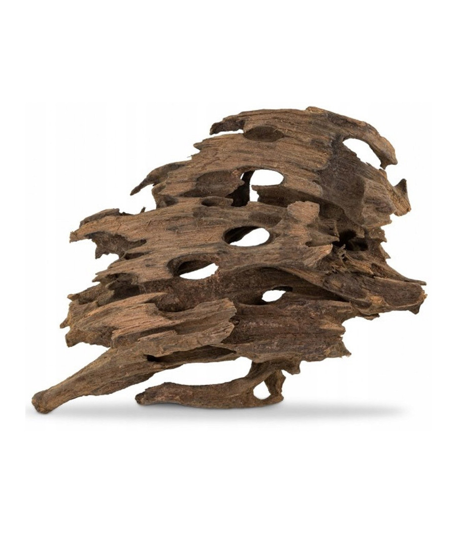 Korzeń Smocze drewno S 10-30cm