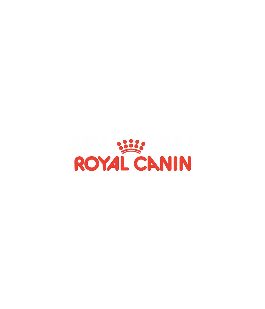 Royal Canin Feline Digest Sensitive saszetka 85g