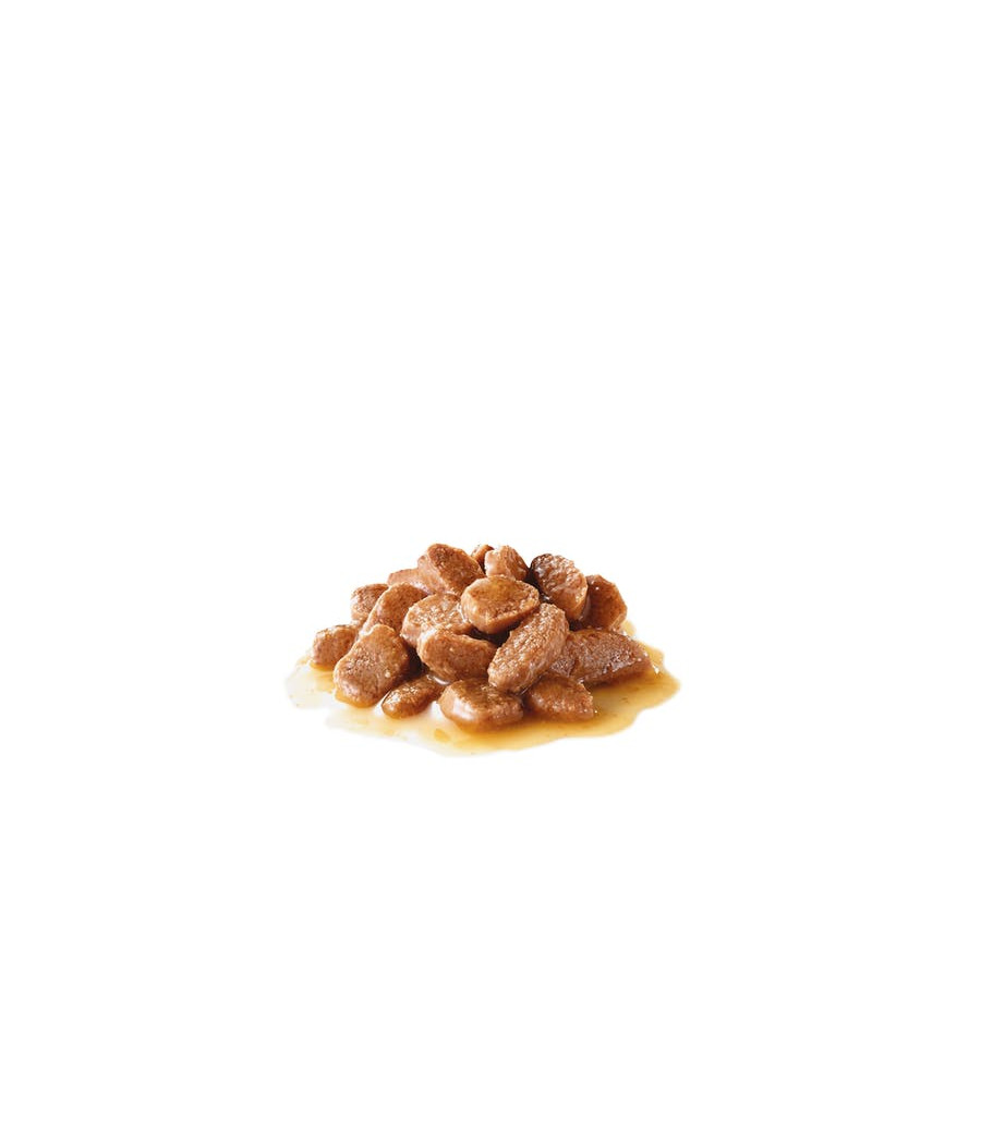 Royal Canin Feline Digest Sensitive saszetka 85g
