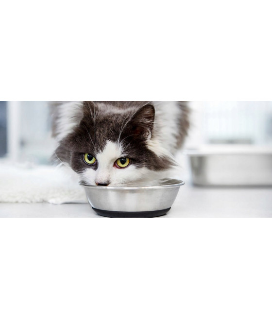 Royal Canin Feline Digest Sensitive saszetka 85g