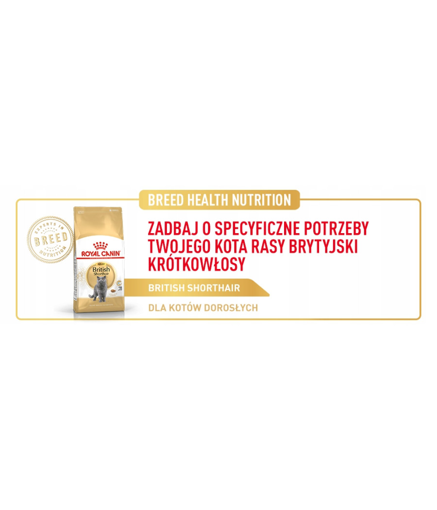 Royal Canin Breed British Shorthair Adult 0,4 kg