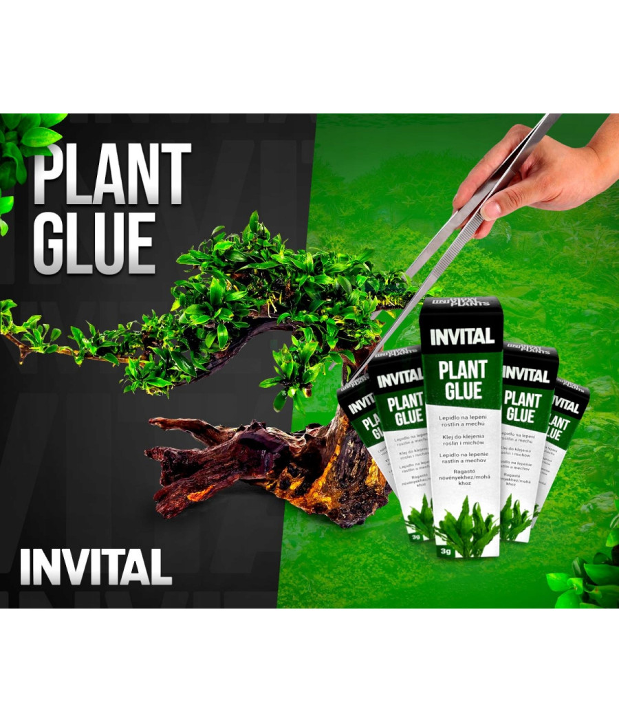 Plant Glue - klej do roślin / mchów