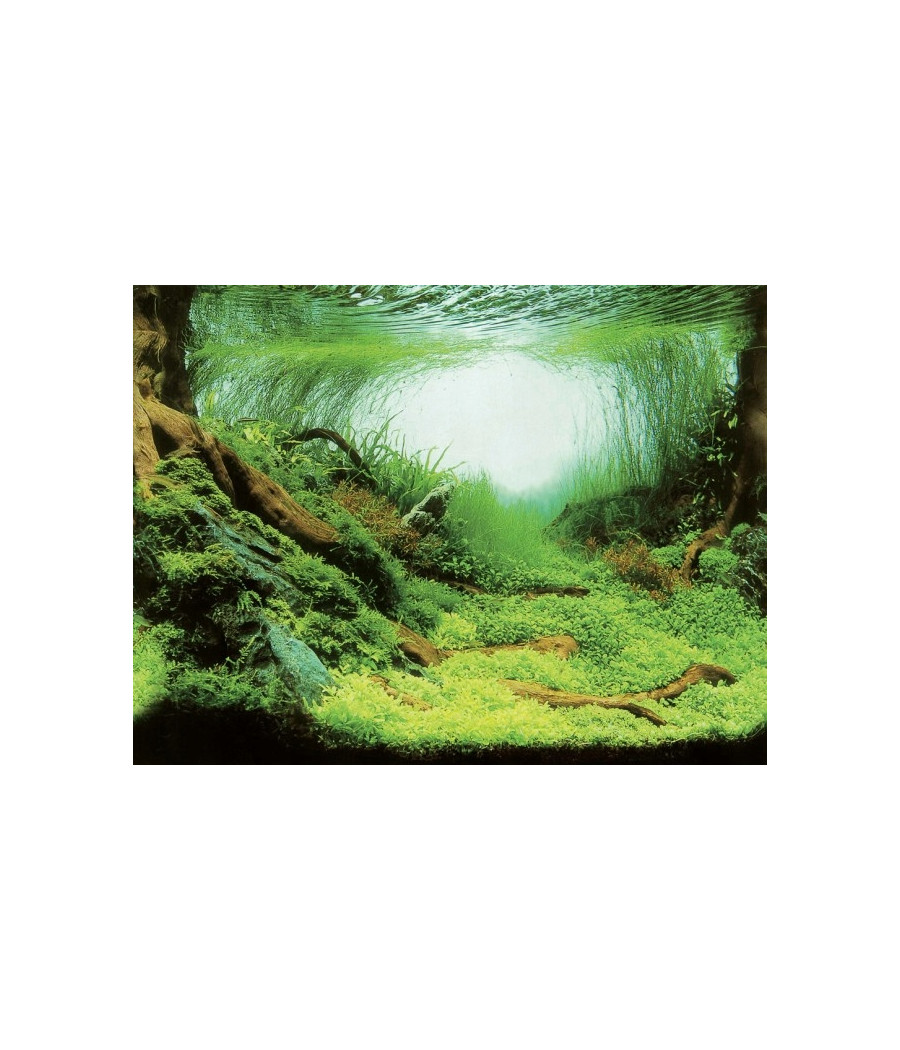 Aqua Nova PLANTS/OCEAN L TŁO 100X50cm