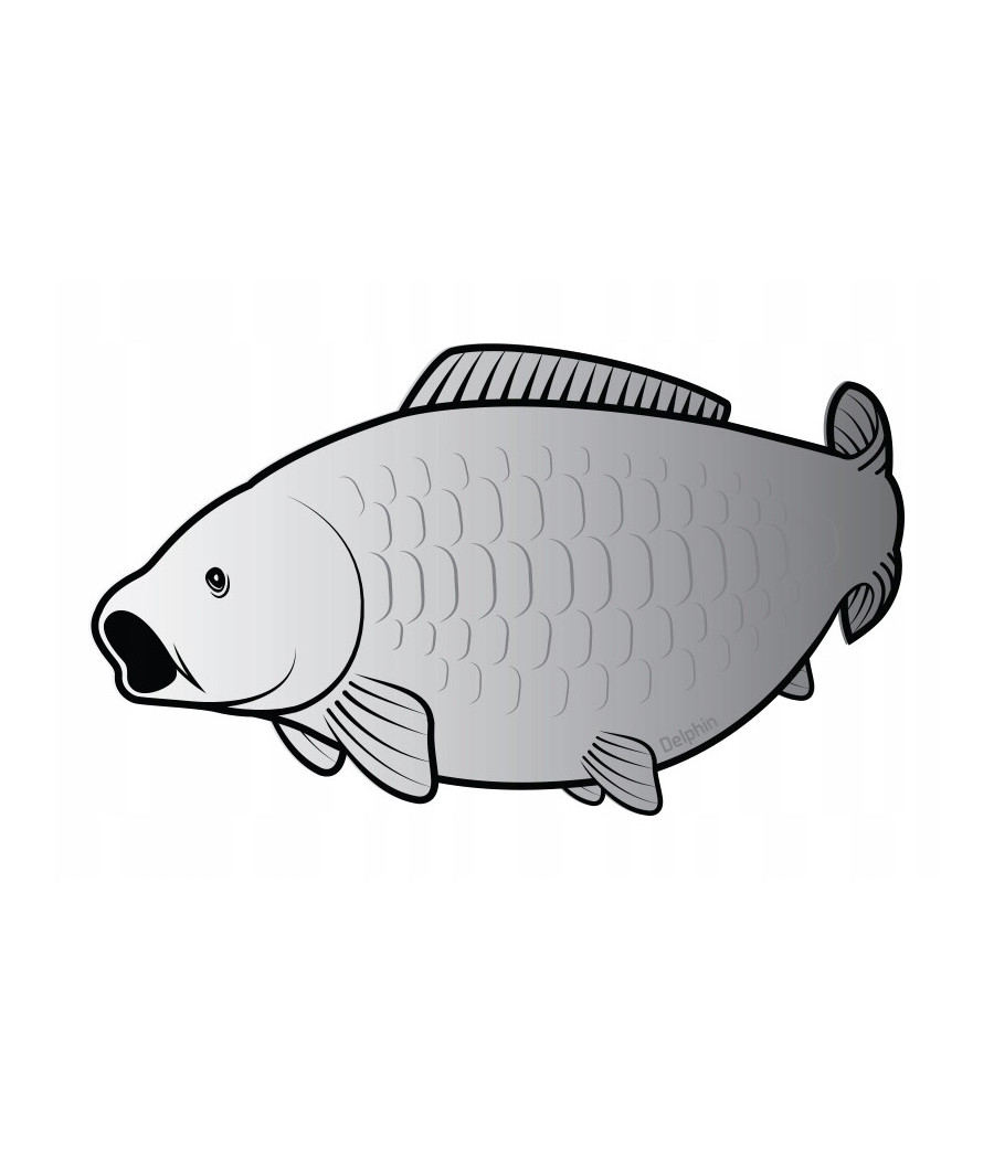 Naklejka wędkarska karp Naklejka wędkarska karp