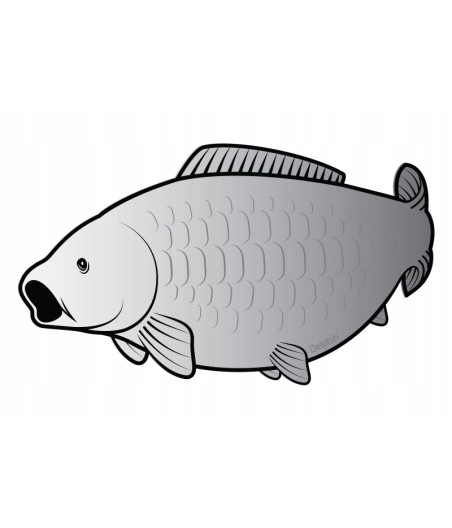 Naklejka wędkarska karp