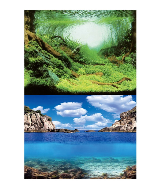 Aqua Nova PLANTS/OCEAN L TŁO 100X50cm