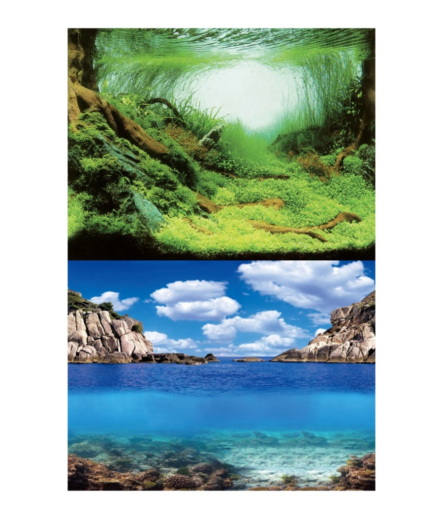 Aqua Nova PLANTS/OCEAN L TŁO 100X50cm