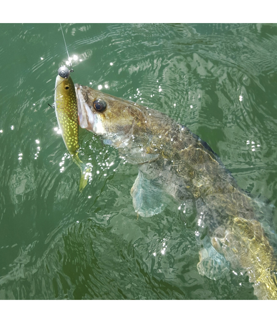 GUMA GUNKI G'BUMP Ghost 10,5cm UV Fire Pike