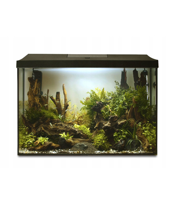 Aquael akwarium LEDDY XL Day&Night 60