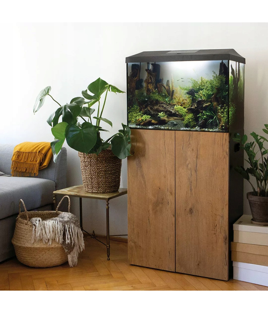 Aquael akwarium LEDDY XL Day&Night 60